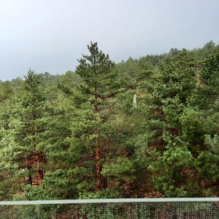 Amor Divcibare Apartamento *