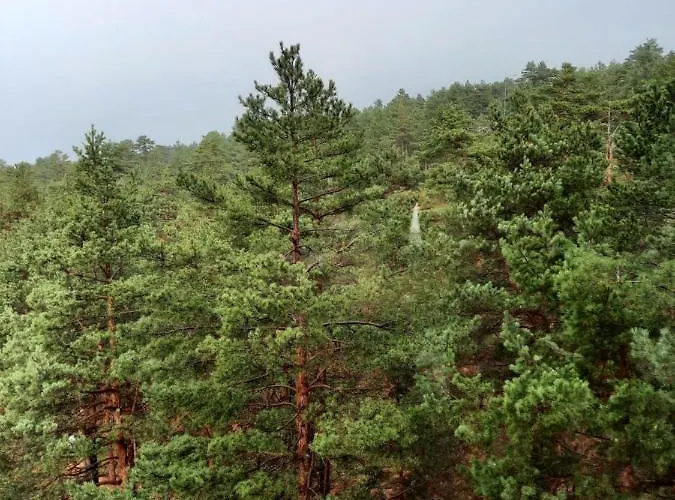 Amor Divcibare Apartamento *